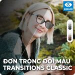 ava trong kinh doi mau transitions classic Apnajob.in