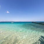 237862366 tropical beach in prison island changu island tanzania Apnajob.in