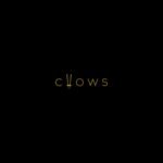 chowsbd logo Apnajob.in