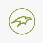 LOGO FALCON Apnajob.in